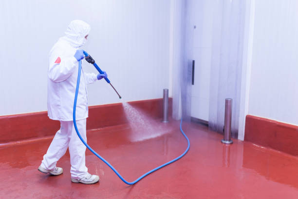 Best Graffiti Removal  in Genola, UT